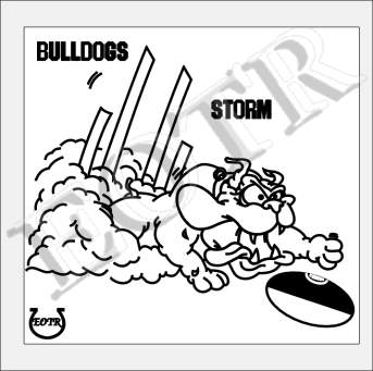 Detailed picture of AFLBulldogsStorm_GA