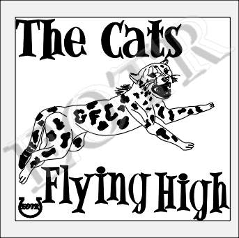 Detailed picture of AFLTheCatsFlyingHigh_GA