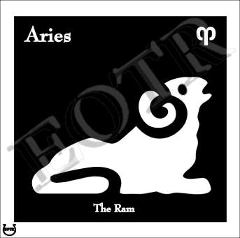 Detailed picture of Aries_MOMn