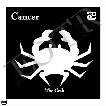 Detailed picture of Cancer_MOMn