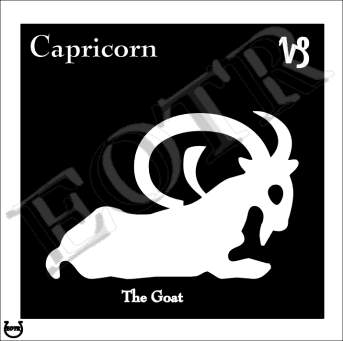 Detailed picture of Capricorn_MOMn