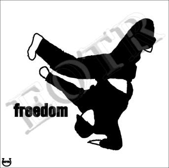 Detailed picture of Freedom_MOMm
