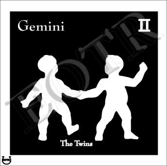 Detailed picture of Gemini_MOMn