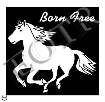 Detailed picture of Horse_MOMn_Custom04121301