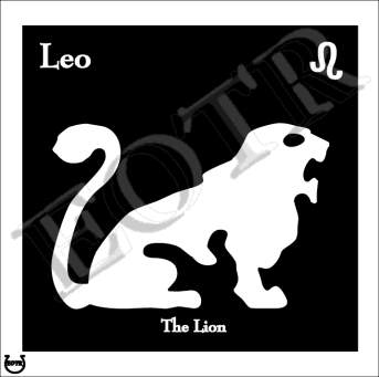 Detailed picture of Leo_MOMn