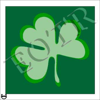 Detailed picture of Shamrock_MOMc