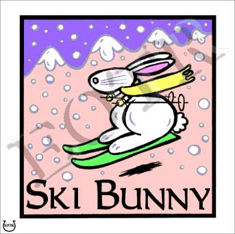 Detailed picture of SkiBunny_MOMc