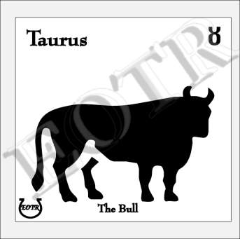 Detailed picture of Taurus_GA