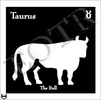 Detailed picture of Taurus_MOMn