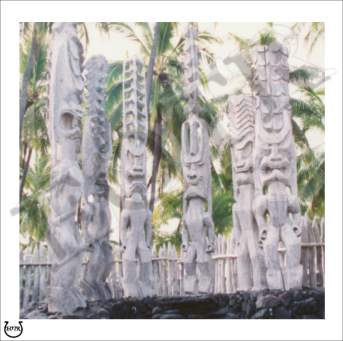 Detailed picture of Totems_MOMc