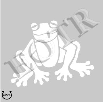 Detailed picture of TreeFrog_BLM