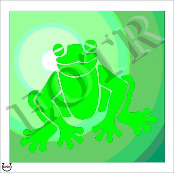 Detailed picture of TreeFrog_MOMc