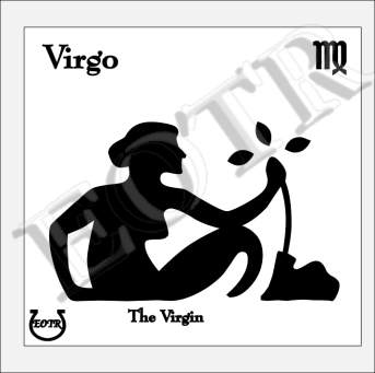 Detailed picture of Virgo_GA