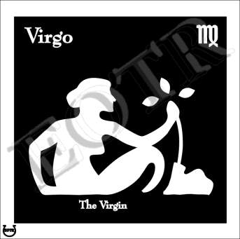 Detailed picture of Virgo_MOMn