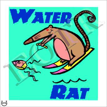 Detailed picture of WaterRat_MOMc2