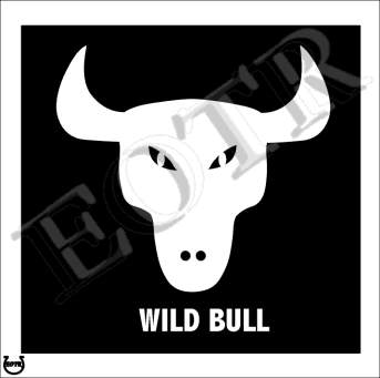 Detailed picture of WildBull_MOMn