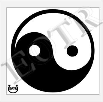 Detailed picture of YingYang_GA