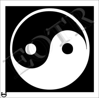 Detailed picture of YingYang_MOMn